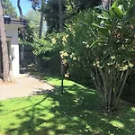 Villa Mazzi